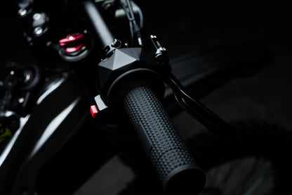 79BIKE-Falcon Pro (5-Day Shipping)