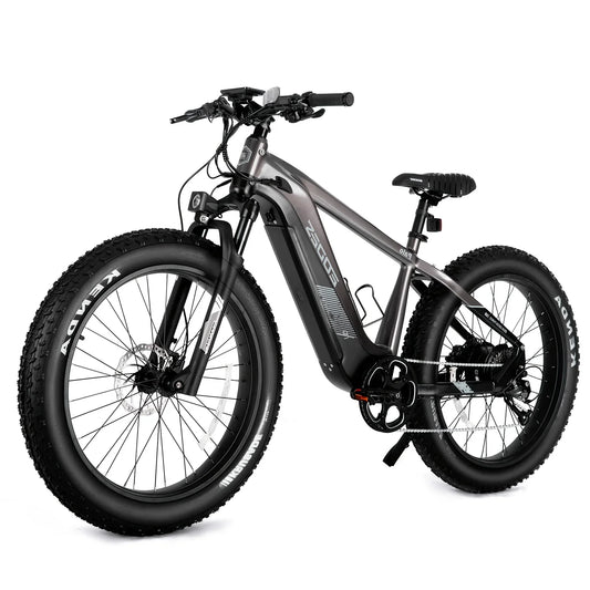 eBike Boys 52V 750W Adult eBike - 17AH Battery, Top Speed 32km/h
