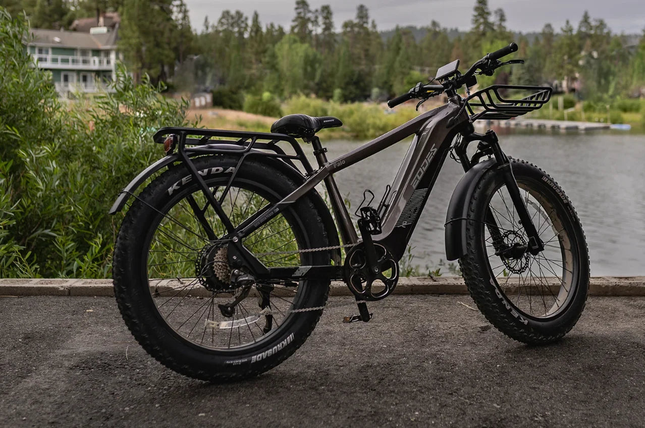 eBike Boys 52V 750W Adult eBike - 17AH Battery, Top Speed 32km/h